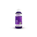 Produktbild: PLAGRON Vita Race Eisenspray – Unterstützung für Wachstumsphase & Blüte, 100 ml