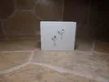 Produktbild: Apple AirPods Pro 3. Generation USB-C MagSafe Weiß - NEU#2