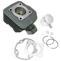 Produktbild: Zylindersatz Zylinderkit 50cc für Peugeot AC - Ersatzzylinderset ohne Kopf, best