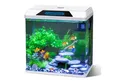 Produktbild: nobleza Aquarien-Set 30L Mini Aquarium Komplettset