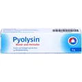 Produktbild: Pyolysin Wund- und Heilsalbe 6 g