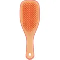 Produktbild: Tangle Teezer Wet Detangler Mini (50080082)