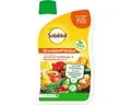 Produktbild: Solabiol Pflanzen-Pilzfrei Solabiol Grundstoff Urtica Konzentrat 1 l