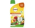 Produktbild: Solabiol Grundstoff Urtica Konzentrat 1 l