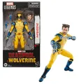 Produktbild: Marvel Legends - DEADPOOL & WOLVERINE 15 cm