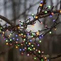 Produktbild: Star Trading - Lichterkette Berry Mini, 700 LEDs, Bunt, Trafo, Lichtmodi, Timer, Außenbereich, 14 Meter