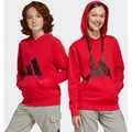 Produktbild: Kapuzensweatshirt ADIDAS SPORTSWEAR 