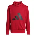 Produktbild: adidas Unisex Kids Essentials Big Logo Hoodie, Pure Ruby/Black, 9-10 Years