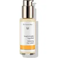 Produktbild: Dr. Hauschka Ausgleichendes Tagesfluid (50 ml) (420004652)