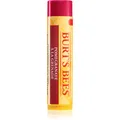 Produktbild: Burt’s Bees Lip Care regenerierender Lippenbalsam (with Pomegranate Oil) 4.25 g