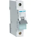 Produktbild: Hager MBN120 Leitungsschutzschalter (MBN120)
