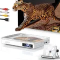 Produktbild: Mini DVD Player für Fernseher,1080P HDMI Compact DVD Player für Fernseher mit HDMI-Anschluss/AV-Ausgabe for TV, NTSC/PAL mit AUX/AV/USB, Fernbedienung und Stand (Weiss)