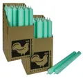 Produktbild: 2 x 25 Stabkerzen Mint 250 x 22 mm Kerzenfarm Kerzen Candle Set