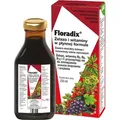 Produktbild: Kruterblutsaft Florabio 250 ml
