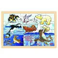Produktbild: Goki 57889 - Einlegepuzzle - Polartiere