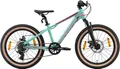 Produktbild: Bikestar Jugendfahrrad, 7 Gang Shimano RD-TY21 Schaltwerk, Kettenschaltung