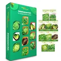 Produktbild: Salatsamen Set - 10 Sorten Samen - Saatgut Sortiment - Anzuchtset für Salat - Geschenkset - Schnittsalat, Feldsalat, Kopfsalat, Wintersalat, Eissalat, Romanasalat, Salatrauke und mehr