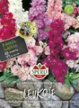 Produktbild: Levkoje Großblumige Mischung