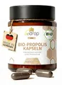 Produktbild: bedrop Bio Propolis Kapseln 800mg pro Kapsel hochdosiert - 60 Propolis Extrakt Kapseln aus Bio Imkerei - Reich an Polyphenolen & Flavonoiden - In nachhaltiger Glas Verpackung