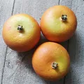 Produktbild: 3 x Mandarinen 6.5cm Orange Deko Obst Attrappen Dekoration Kunstobst Dekofrüchte