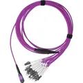 Produktbild: BlueOptics LWL MPO/8xLC Duplex Breakout Kabel OM4 5 Meter (SFP5541FU5MKB)