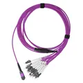 Produktbild: BlueOptics LWL MPO/8xLC Duplex Breakout Kabel OM4 5 Meter