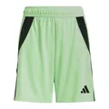 Produktbild: Adidas Tiro 24 Short Kinder - grün