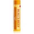 Produktbild: Burt’s Bees Lip Care Lippenbalsam mit Honig (with Honey & Vitamin E) 4,25 g