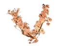 Produktbild: Viana Streudeko Dekohänger Herbstdeko Blättergirlande Heuchera 150cm