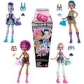 Produktbild: MattelHYV64sort.-MonsterHigh-Buried Secrets-1MysteryPuppe&Zubehör,versch.Modelle