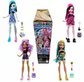 Produktbild: MONSTER HIGH HIDDEN SECRETS S1 DOLL Scary Sleepover Surprise Doll HYV64
