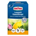 Produktbild: Substral Langzeit Depotdünger für Zitrus & Mediterrane Pflanzen - 750 g Dünger