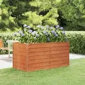 Produktbild: Hochbeet Rostig 160x80x77 Cm Cortenstahl - Vidaxl
