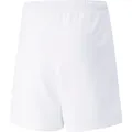 Produktbild: Puma teamRISE Short Jr-704943 (164) (704943_03)