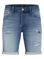 Produktbild: JACK & JONES Jjirick Jjicon I.K. Shorts Ge 136 Sn
