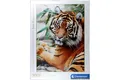 Produktbild: Portrait eines liegenden Sumatra Tigers Clementoni Puzzle 1000 Teile 50 x 69 cm