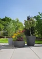 Produktbild: Scheurich Blumentopf 40/239 C-CONE BOWL