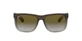 Produktbild: Ray-Ban MOD. 4165 Ray-Ban Sonnenbrille Mod. 4165 Wayfarer Sonnenbrille 55, Braun