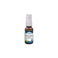 Produktbild: cdVet VeaVet Pfotenpflegespray 20ml