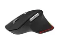 Produktbild: Acer Easy Fit - Maus - ergonomisch - optische LED - 6 Tasten - kabellos - 2.4 GHz, Bluetooth 5.0 - kabelloser Empfänger (USB)
