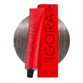 Produktbild: Schwarzkopf Igora Royal 8-21 Cendré Aschhellblond 60ml