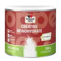 Produktbild: Doppelherz CREATINE MONOHYDRATE – Hochreines Kreatin mit Creapure® Qualität 250g