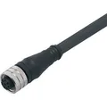 Produktbild: ifm Electronic IFM Anschlusskabel (E11856)