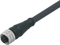 Produktbild: Ifm Electronic E11856 Anschlussleitung Buchse, gerade 15m Polzahl Sensoren: 8 1St.