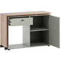Produktbild: MÖBELPARTNER Tiny Working Schreibtisch pastellgrün, eiche rechteckig, Wangen-Gestell grün 104,6 x 39,0 cm