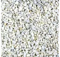 Produktbild: GarPet Zierkies Kieselsteine Garten Zierkies Splitt 25 kg Aquarium Kies Carrara Weiß