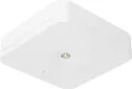 Produktbild: fischer Sicherheitsleuchte EB 1/3/8h 1W IP20 SLM-D31USC (SLM-D31USC)