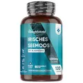 Produktbild: Irisches Sea Moss 4000 mg - 120 Kapseln mit Blasentang - 4 Monate Vorrat - 1 Kapsel täglich - Frei von Magnesiumstearat - Vegan Seamoss - Chondrus Crispus - Nahrungsergänzungsmittel - Von WeightWorld