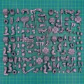 Produktbild: Wolfsgarde Terminatoren Space Wolves Bitz Bits Warhammer 40.000