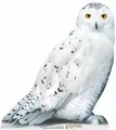 Produktbild: Harry Potter Pappaufsteller (Stand Up) - Eule Hedwig (74 cm)